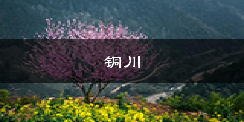 铜川天气预报未来一周