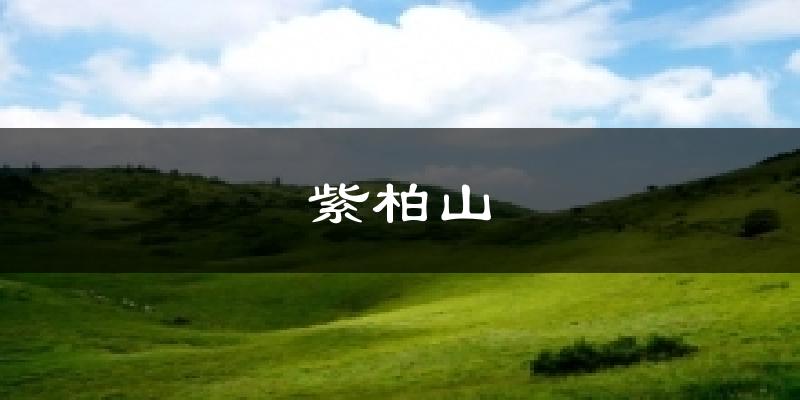 紫柏山气温