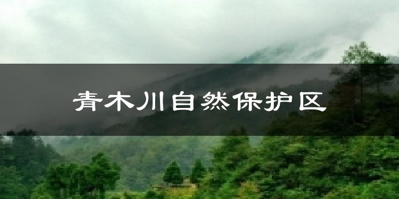 青木川自然保护区气温
