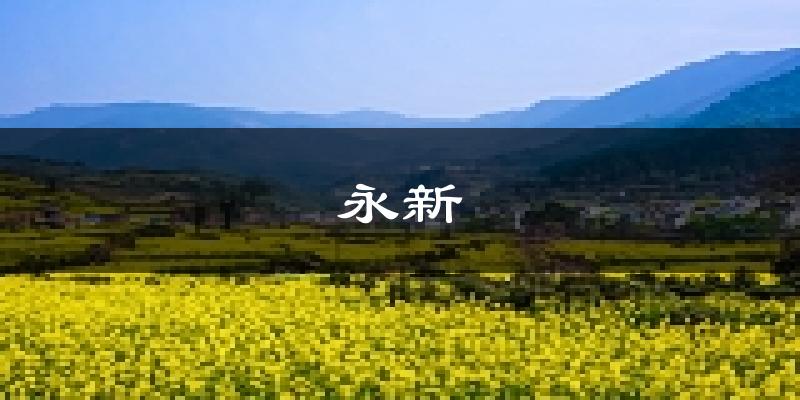 永新天气预报未来一周
