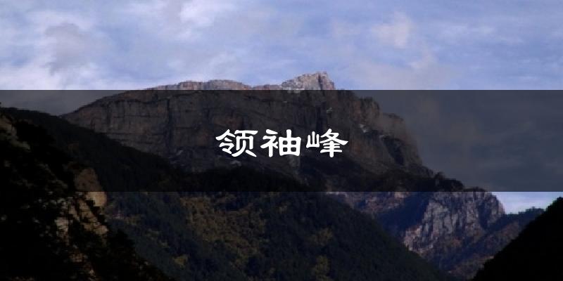 领袖峰气温