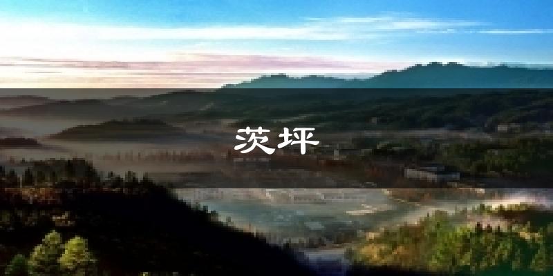 茨坪气温
