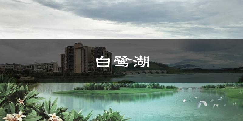 白鹭湖气温
