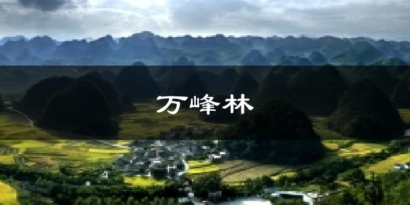 万峰林今日天气