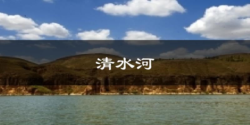 清水河今日天气