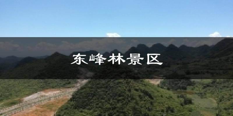 东峰林景区今日天气