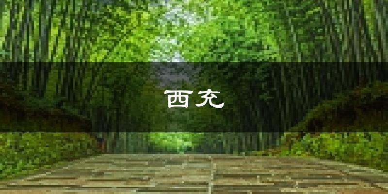 西充天气预报未来一周