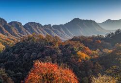 镇龙山国家森林公园天气未来一周