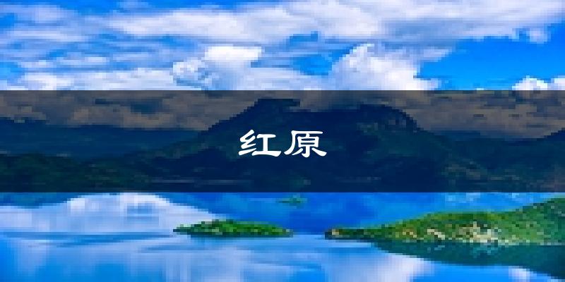 红原天气预报未来一周