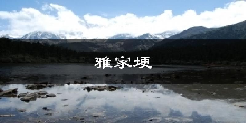 雅家埂气温