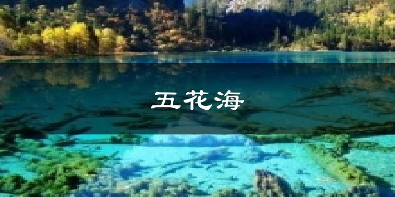 五花海天气未来15天