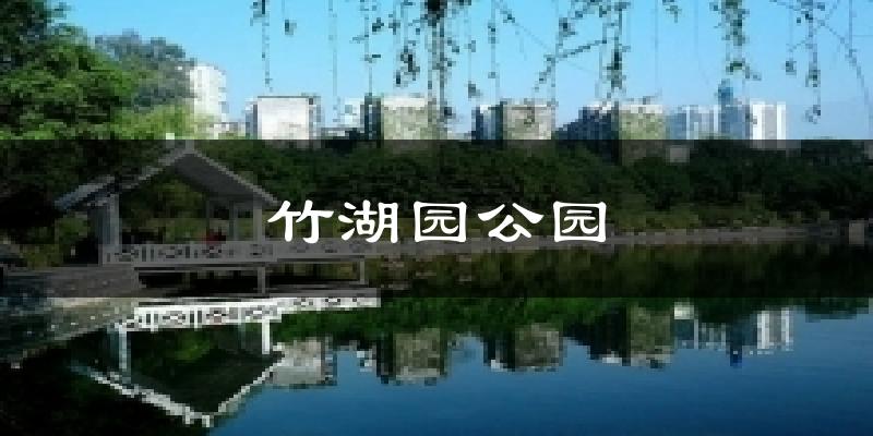 竹湖园公园气温