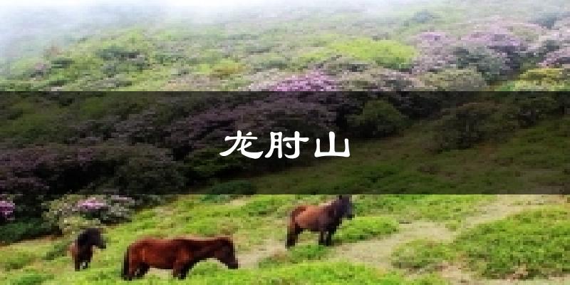 龙肘山天气未来15天