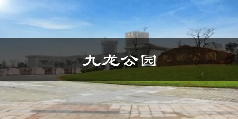 九龙公园天气未来15天