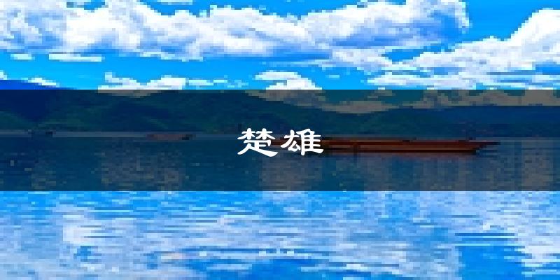 楚雄天气预报未来一周