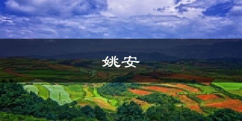 姚安天气预报未来一周