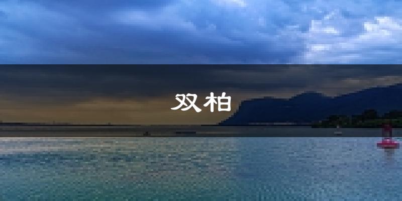 双柏天气预报未来一周
