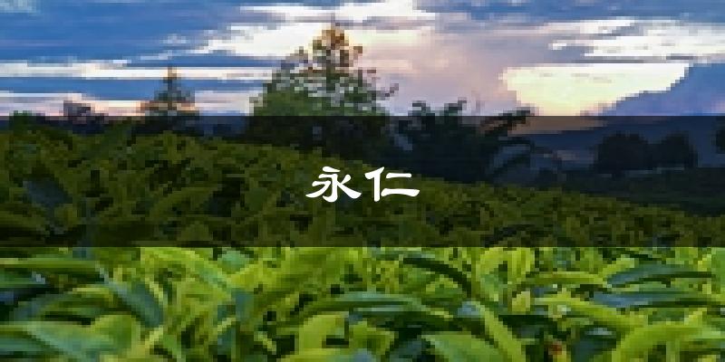 永仁天气预报未来一周